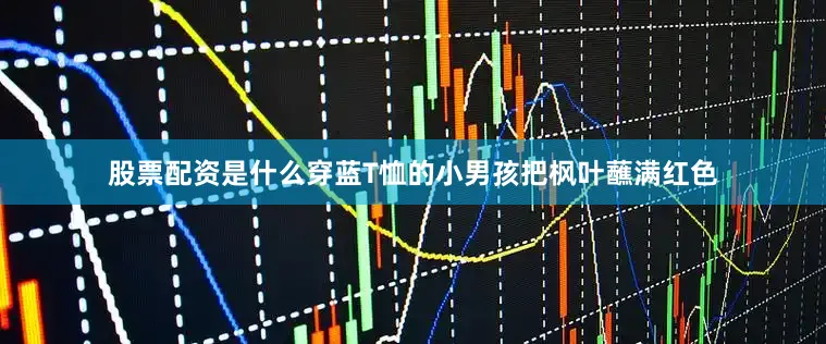 股票配资是什么穿蓝T恤的小男孩把枫叶蘸满红色